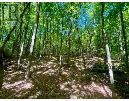 Pt Lt's 5 & 6 Foymount Road, Bonnechere Valley, ON K0J1W0 Photo 19