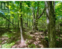 Pt Lt's 5 & 6 Foymount Road, Bonnechere Valley, ON K0J1W0 Photo 21