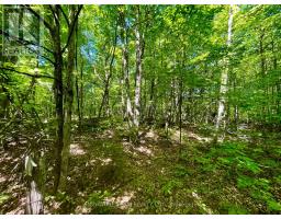Pt Lt's 5 & 6 Foymount Road, Bonnechere Valley, ON K0J1W0 Photo 22