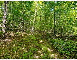 Pt Lt's 5 & 6 Foymount Road, Bonnechere Valley, ON K0J1W0 Photo 23