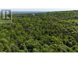 Pt Lt's 5 & 6 Foymount Road, Bonnechere Valley, ON K0J1W0 Photo 26