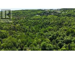 Pt Lt's 5 & 6 Foymount Road, Bonnechere Valley, ON K0J1W0 Photo 27