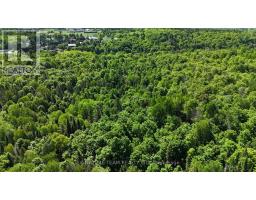 Pt Lt's 5 & 6 Foymount Road, Bonnechere Valley, ON K0J1W0 Photo 28