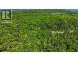 Pt Lt's 5 & 6 Foymount Road, Bonnechere Valley, ON K0J1W0 Photo 29