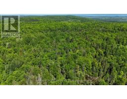 Pt Lt's 5 & 6 Foymount Road, Bonnechere Valley, ON K0J1W0 Photo 30