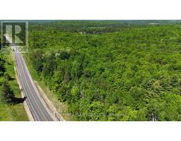 Pt Lt's 5 & 6 Foymount Road, Bonnechere Valley, ON K0J1W0 Photo 31