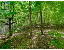 Pt Lt's 5 & 6 Foymount Road, Bonnechere Valley, ON K0J1W0 Photo 6