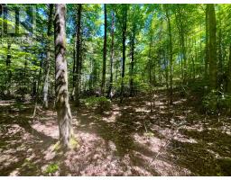 Pt Lt's 5 & 6 Foymount Road, Bonnechere Valley, ON K0J1W0 Photo 7
