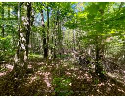 Pt Lt's 5 & 6 Foymount Road, Bonnechere Valley, ON K0J1W0 Photo 8