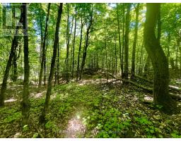 Pt Lt's 5 & 6 Foymount Road, Bonnechere Valley, ON K0J1W0 Photo 9