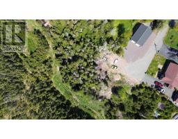 237B Creston Boulevard thumbnail 5