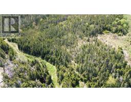 237B Creston Boulevard thumbnail 6
