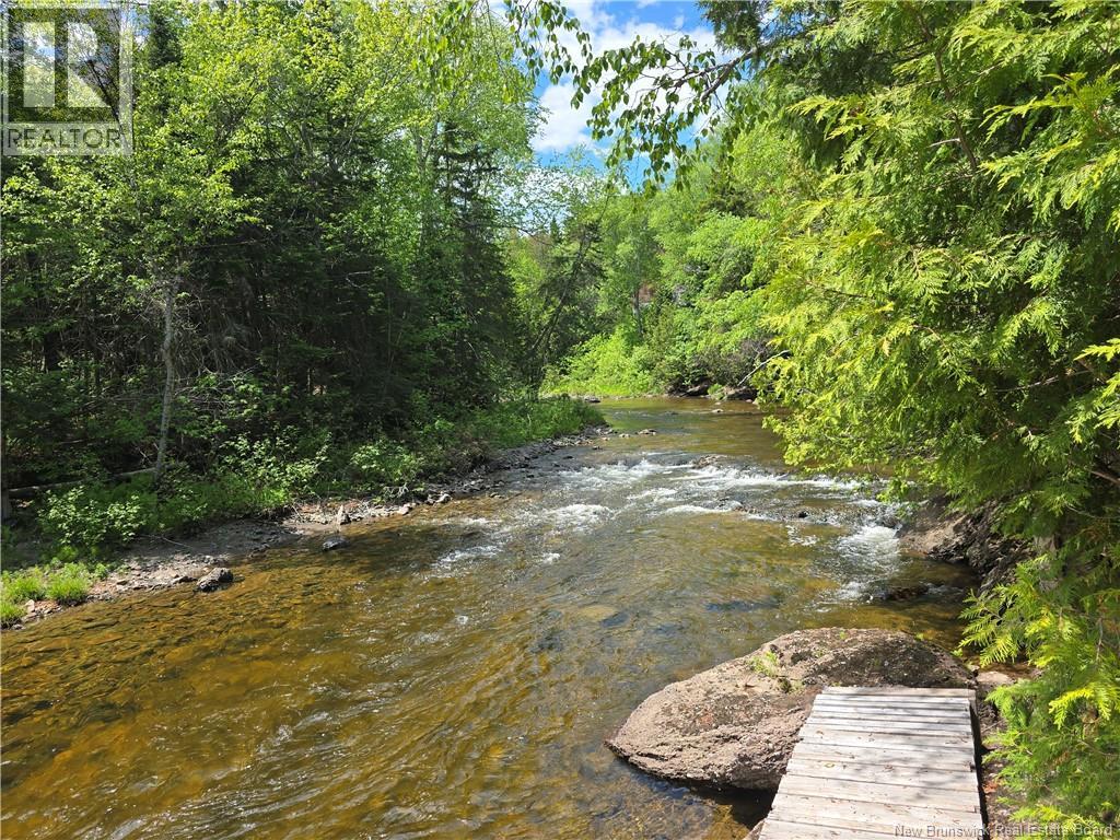 435 Acadie - Image 19