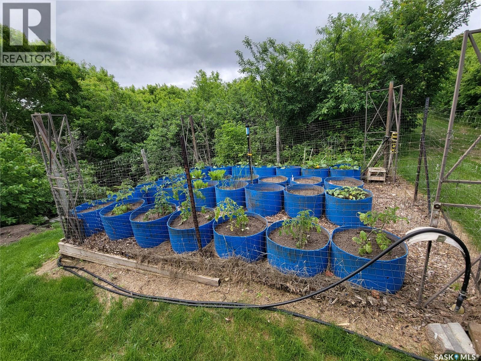 Catherine Road acreage - 47