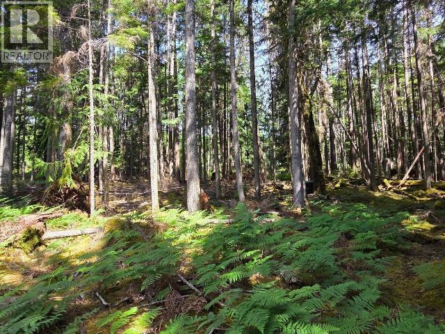 6980 SIENNA ROAD - 28