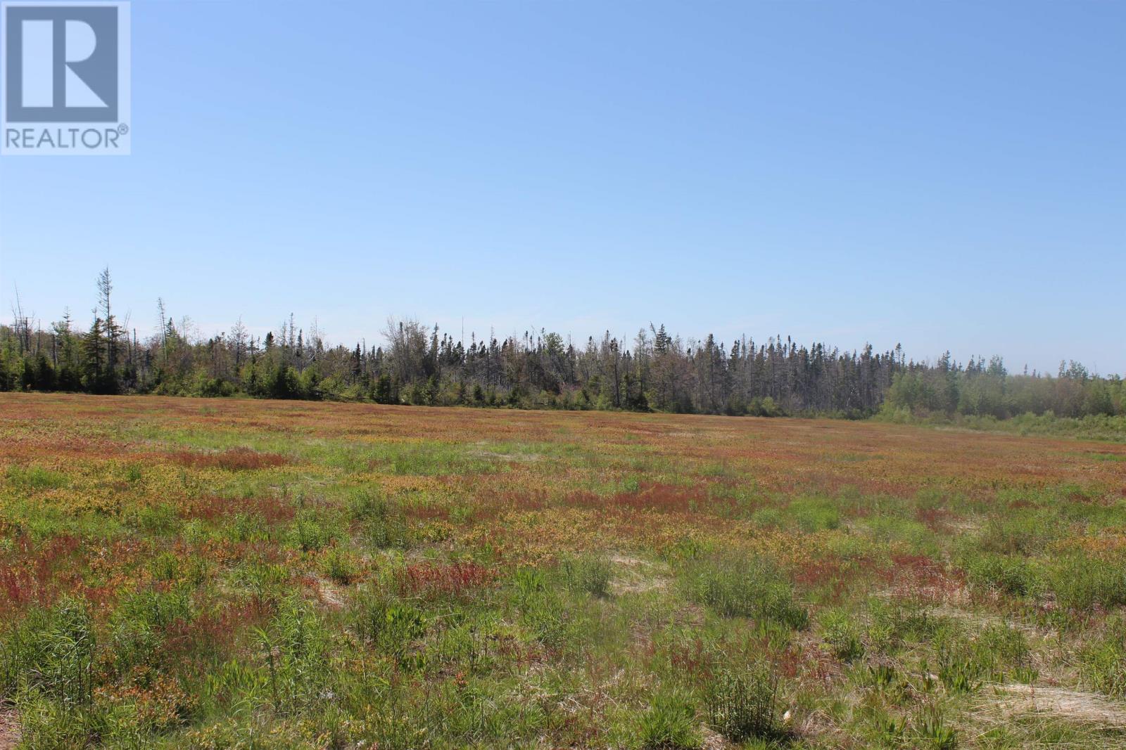 97 MacAdam Road - 32