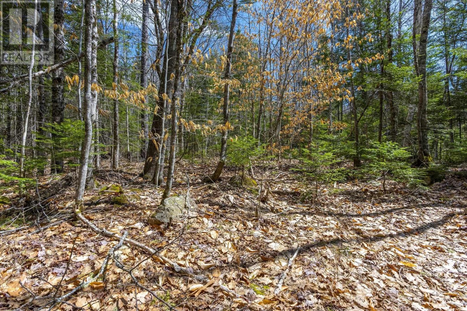 214 Lower Sixty Lake Road Road - 48