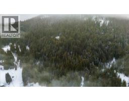 Deer Park Drive Lot# 21, Rossland, BC V0G1Y0 Photo 9
