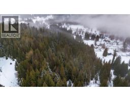 Deer Park Drive Lot# 21, Rossland, BC V0G1Y0 Photo 8