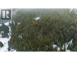 Deer Park Drive Lot# 21, Rossland, BC V0G1Y0 Photo 7