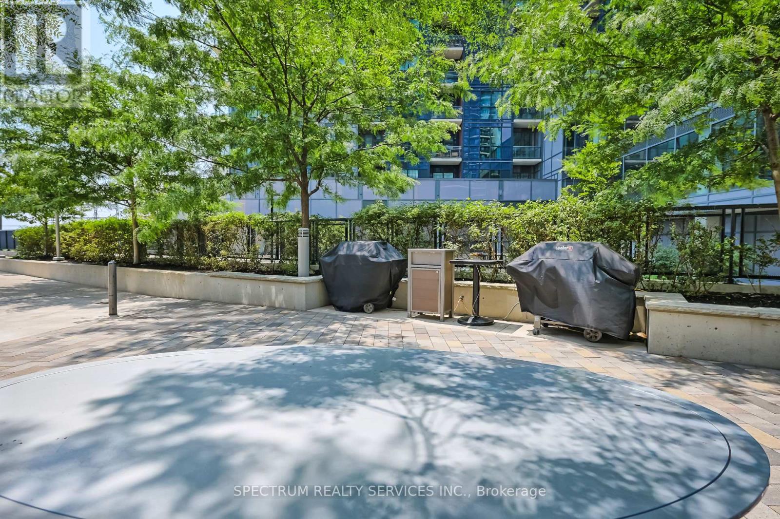 #207 20 THOMAS RILEY ROAD W - 32