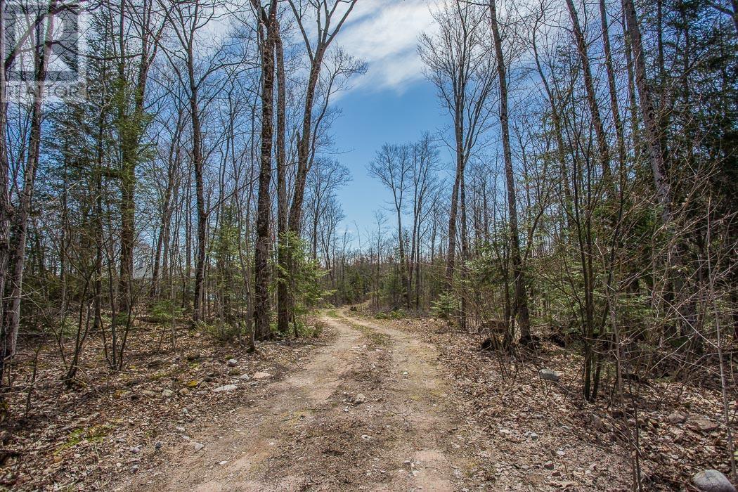 279 Finns Bay RD N, Laird Township