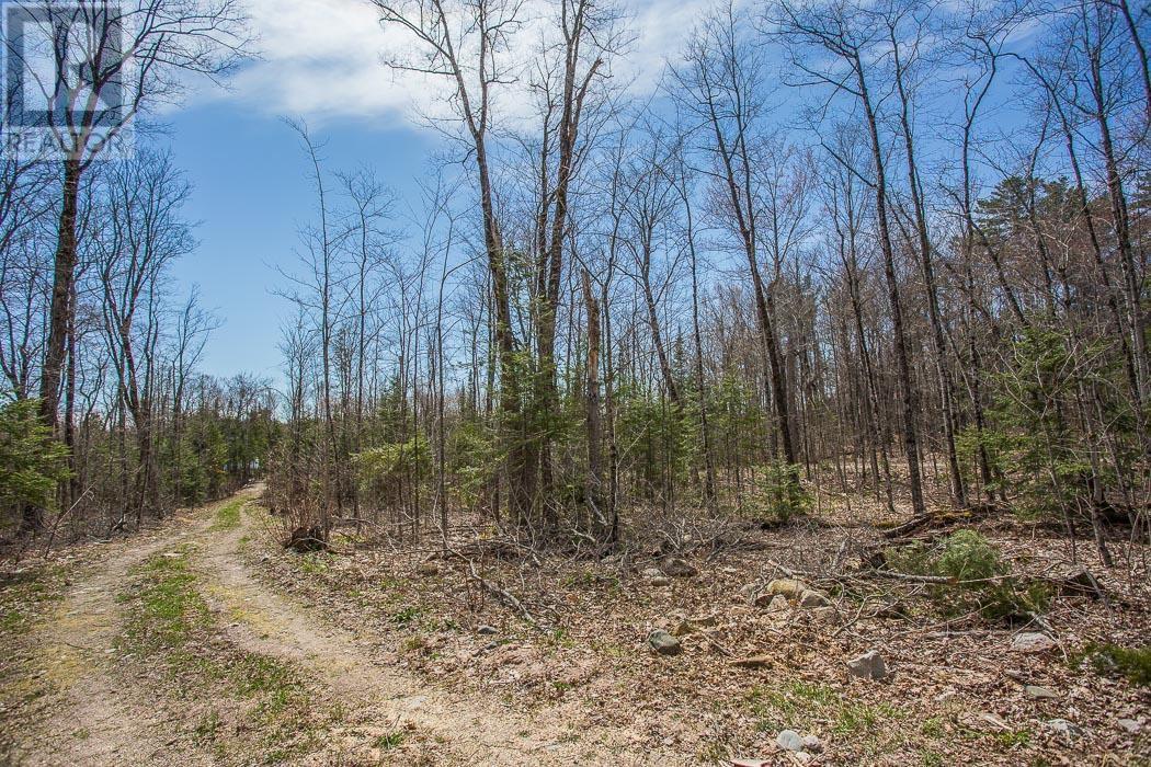 279 Finns Bay RD N, Laird Township