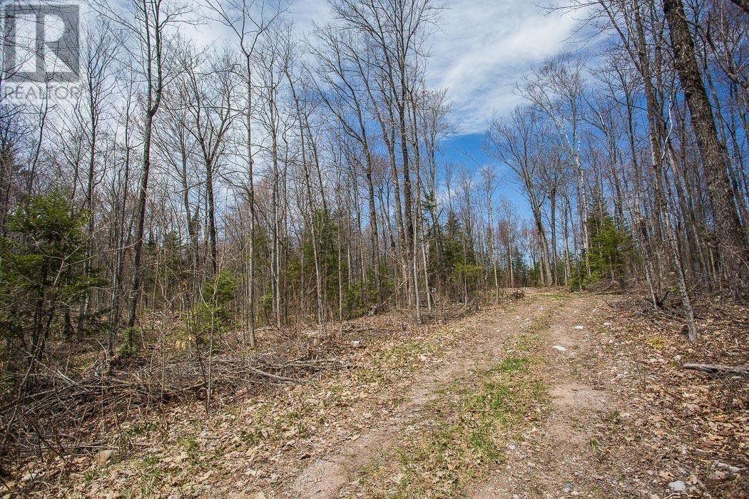 279 Finns Bay RD N, Laird Township