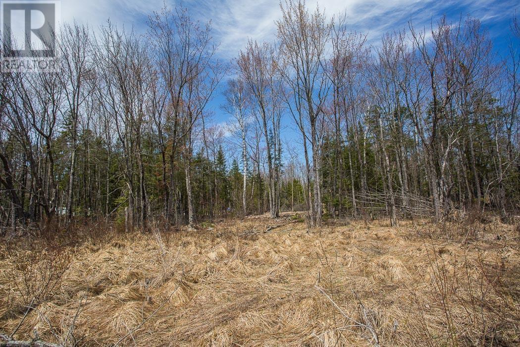 279 Finns Bay RD N, Laird Township