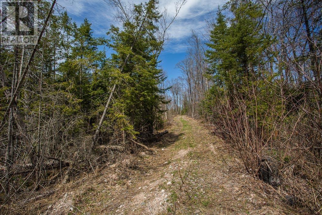 279 Finns Bay RD N, Laird Township
