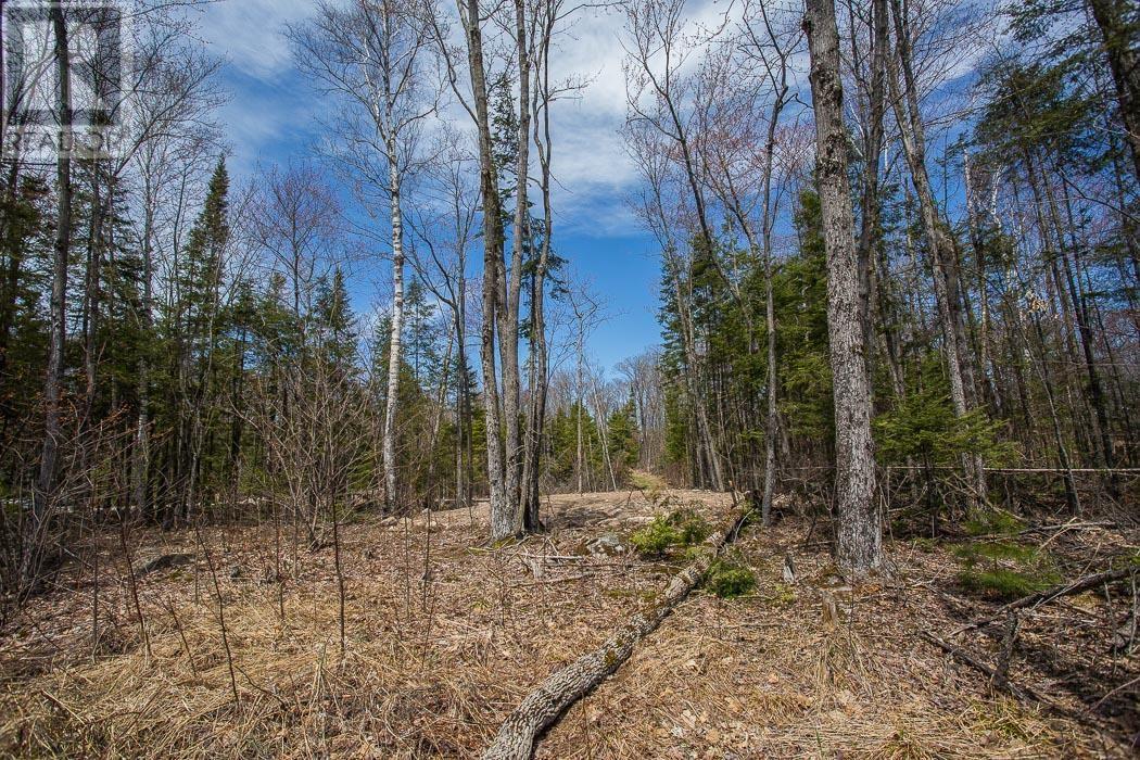279 Finns Bay RD N, Laird Township