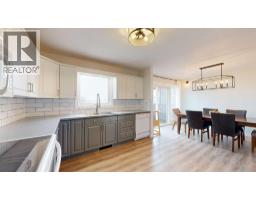Furnace - 13 Marina View Close, Rural Stettler No  6, County Of, AB T0C2L0 Photo 14