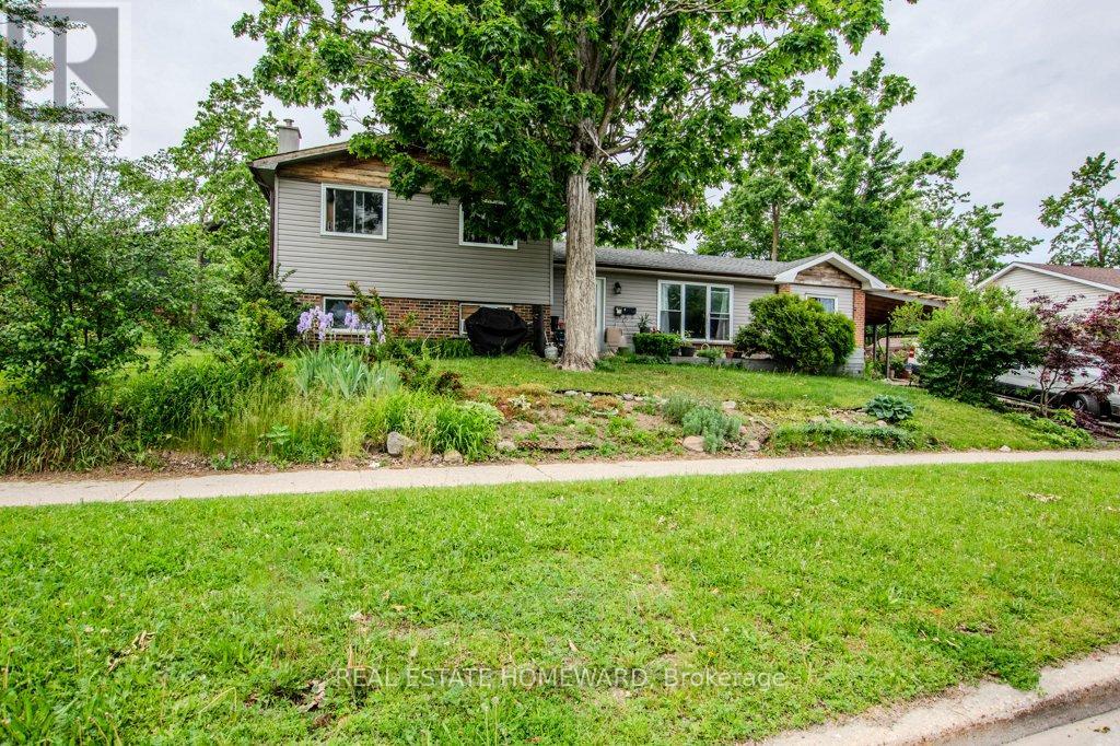 54 SPRINGDALE DRIVE - 1