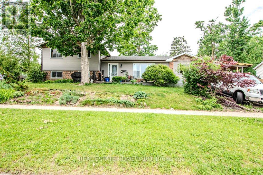 54 SPRINGDALE DRIVE - 2