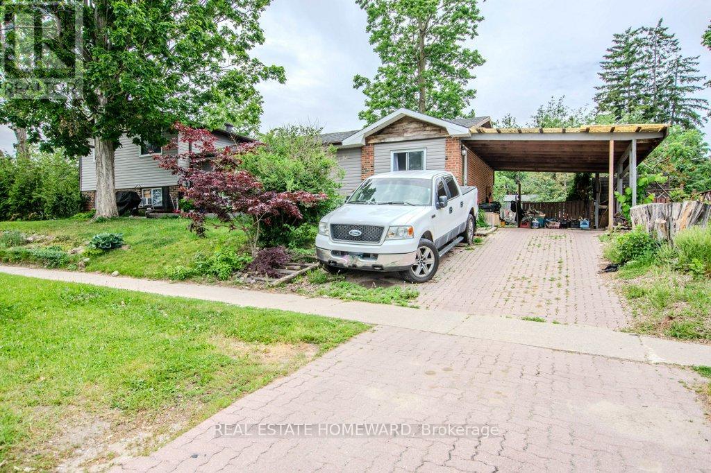 54 SPRINGDALE DRIVE - 3