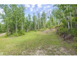 55527 R.r. 12, Rural Lac Ste  Anne County, AB T0E1V0 Photo 54