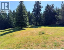 Lot A Royce Rd, Shawnigan Lake, BC V0R2W1 Photo 10