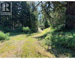 Lot A Royce Rd, Shawnigan Lake, BC V0R2W1 Photo 11