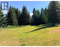 Lot A Royce Rd, Shawnigan Lake, BC V0R2W1 Photo 9