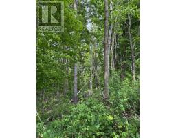 00 Richardson Road, Montague, ON K0G1N0 Photo 12