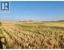 42 Avenue, Rural Stettler No  6, County Of, AB T0C2L0 Photo 9