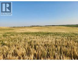 42 Avenue, Rural Stettler No  6, County Of, AB T0C2L0 Photo 10