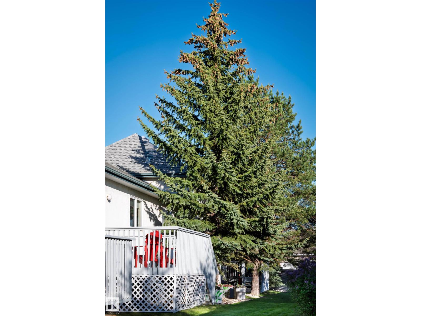 11686 15 AV NW - 43