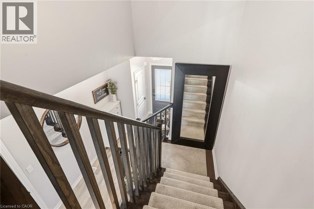 19 SEVERINO Circle - 27