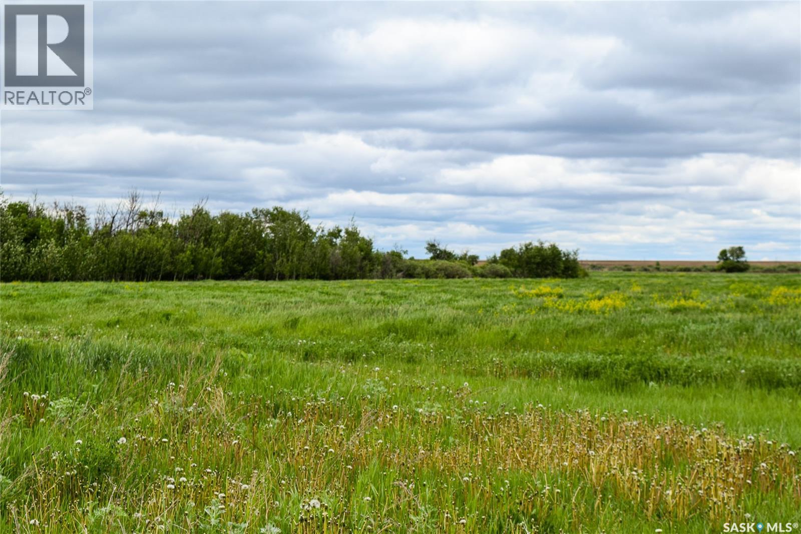 Gruenthal Land — photo 15