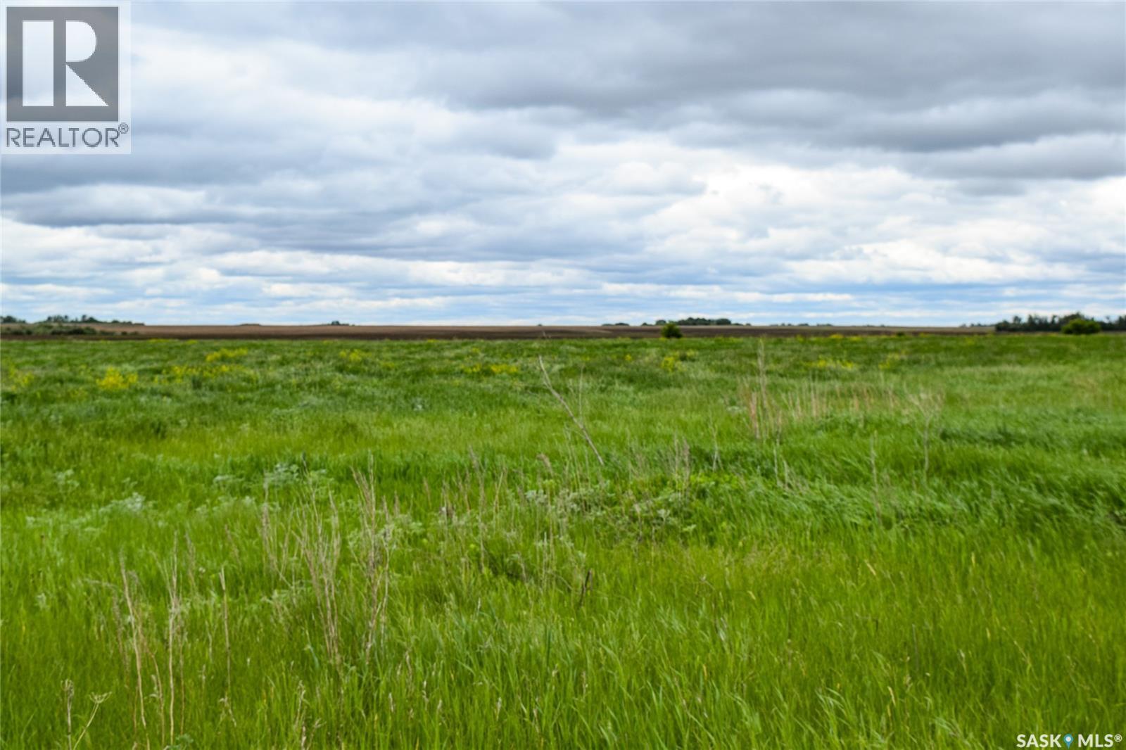 Gruenthal Land — photo 6