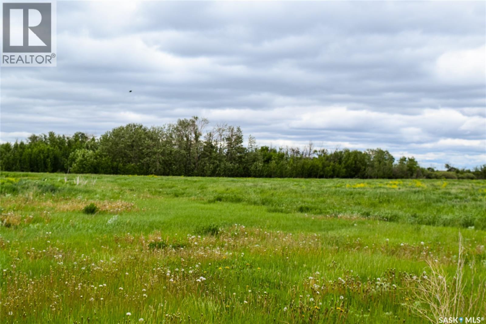 Gruenthal Land — photo 8