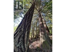 13589 Lee Road, Garden Bay, BC V0N1S1 Photo 9