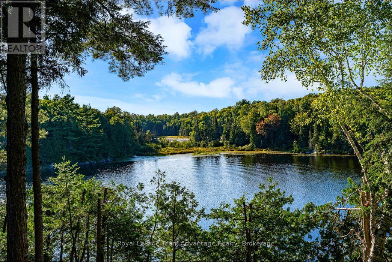 420 SHAWANAGA LAKE - 35