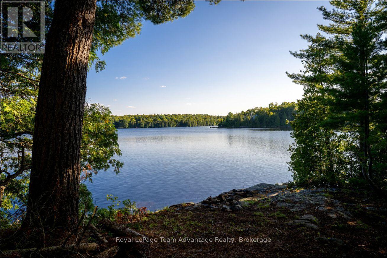 420 SHAWANAGA LAKE - 44